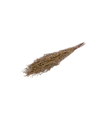 Sauna Whisk from herbs. Wormwood