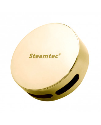 Steam Nozzle - SteamTec Ksa, Gold colour STEAM ROOM EQUIPMENT